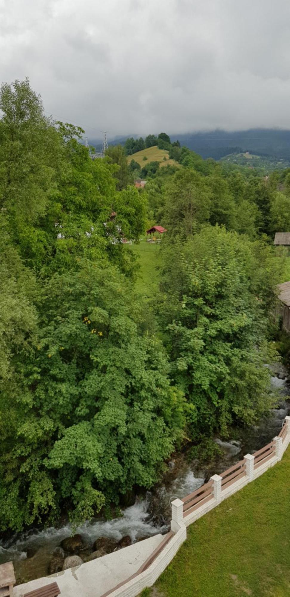 Pensiunea Casa Beatrice Bran Bran  Zewnętrze zdjęcie